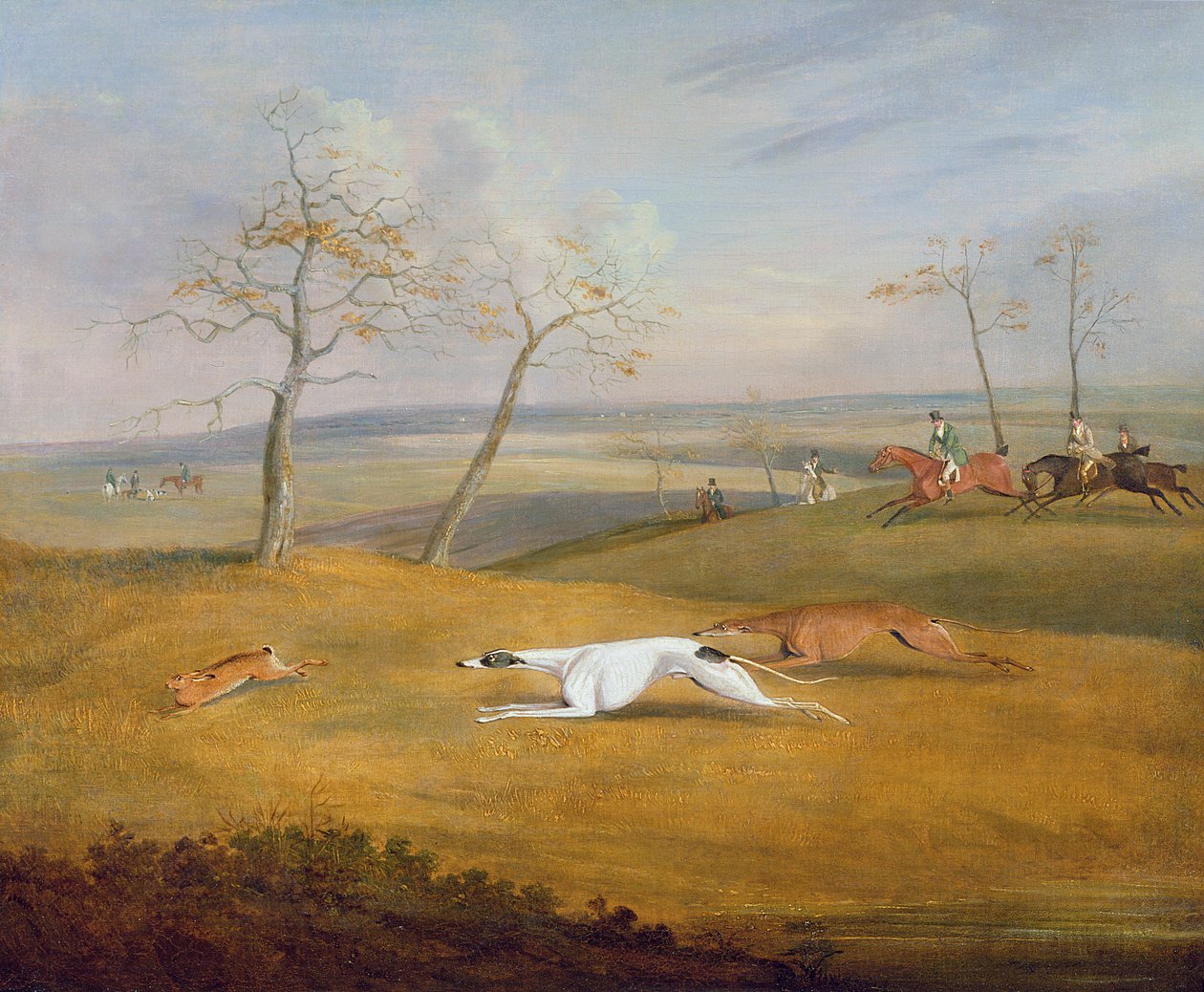 Coursing: honička (viz také 444841, 444842) od Samuel Henry Alken