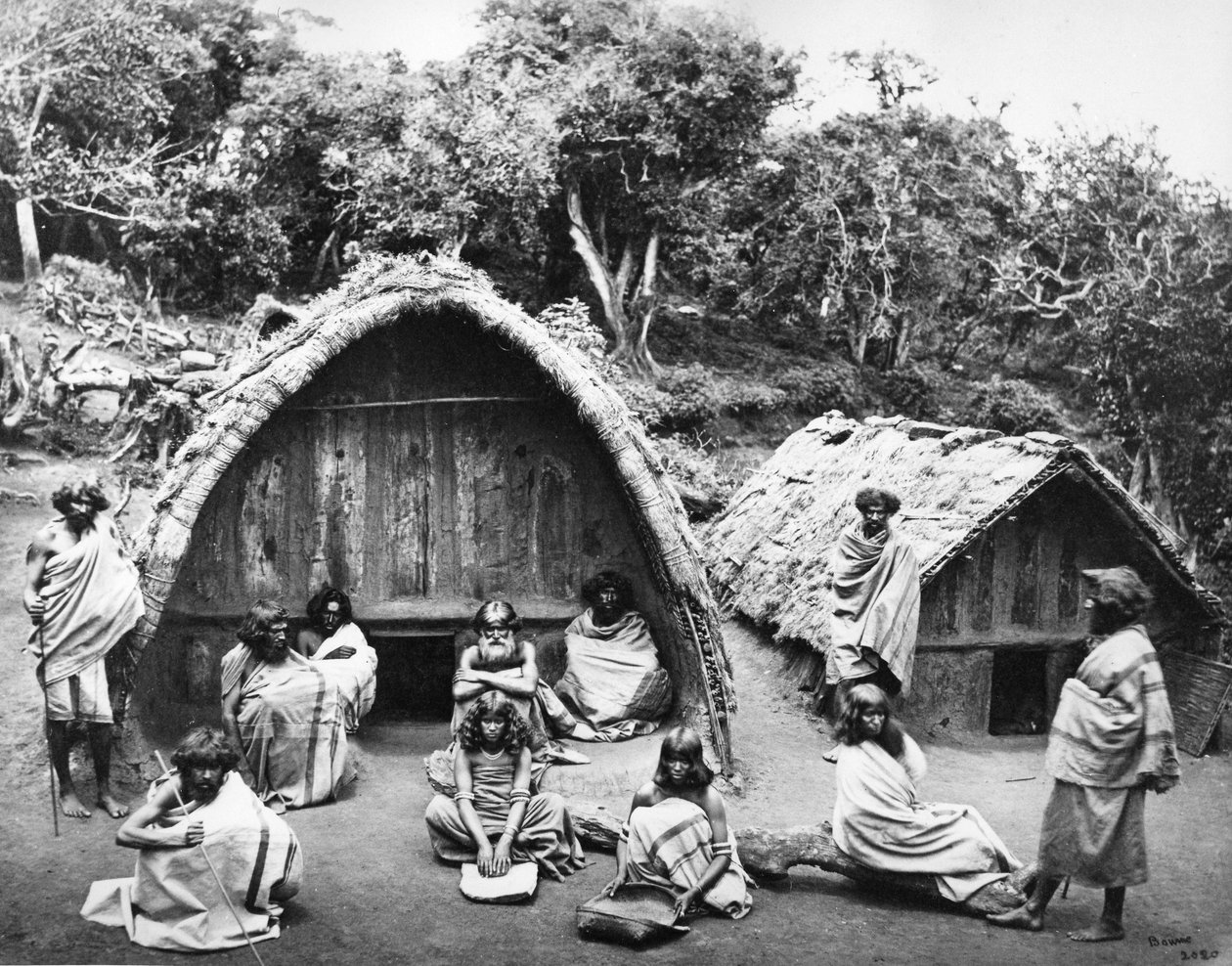 A Toda Mund v Ootacamundu, kolem roku 1865 od Samuel Bourne