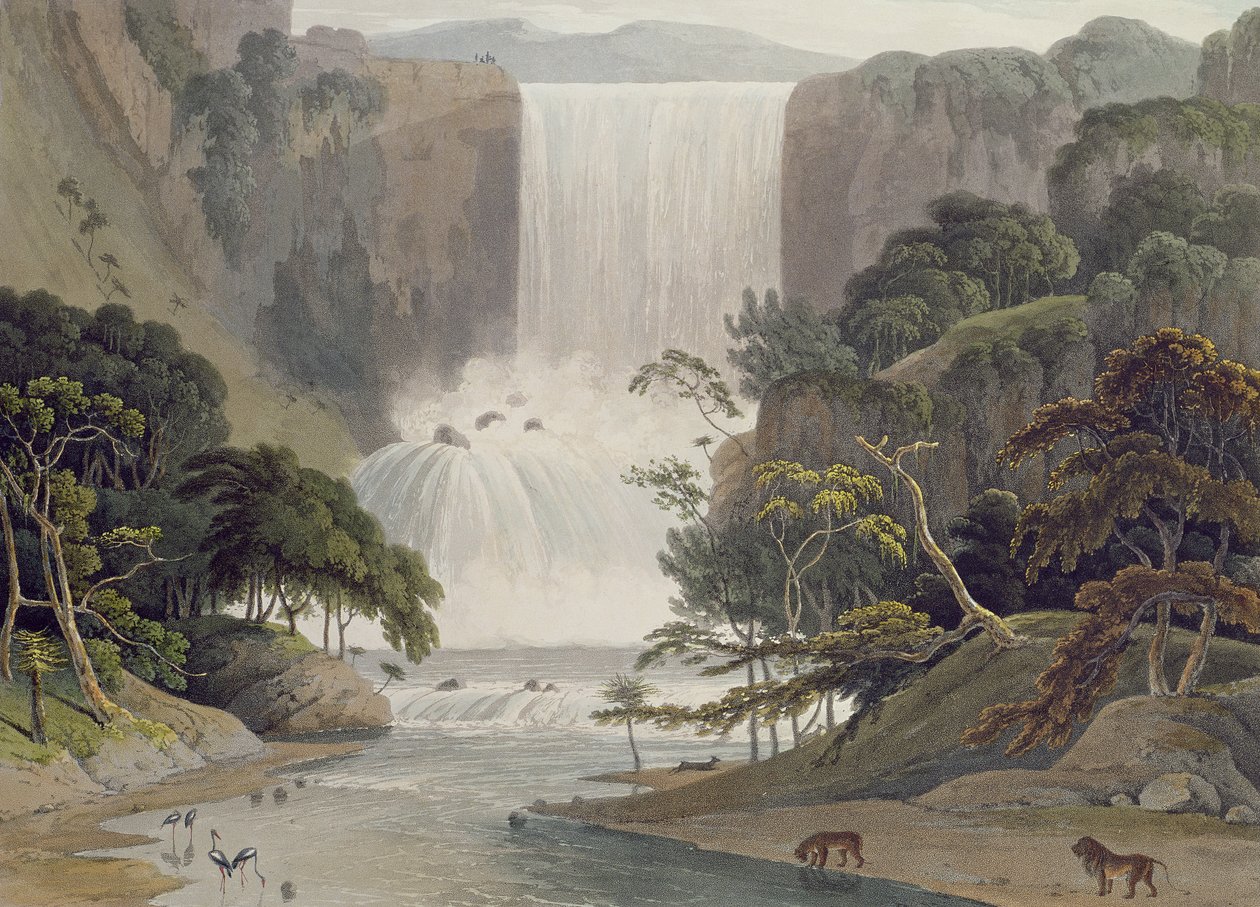 Cascade on Sneuwberg, deska 25 z „African Scenery and Animals“, vyryto umělcem, 1805 (barevná akvatinta) od Samuel Daniell