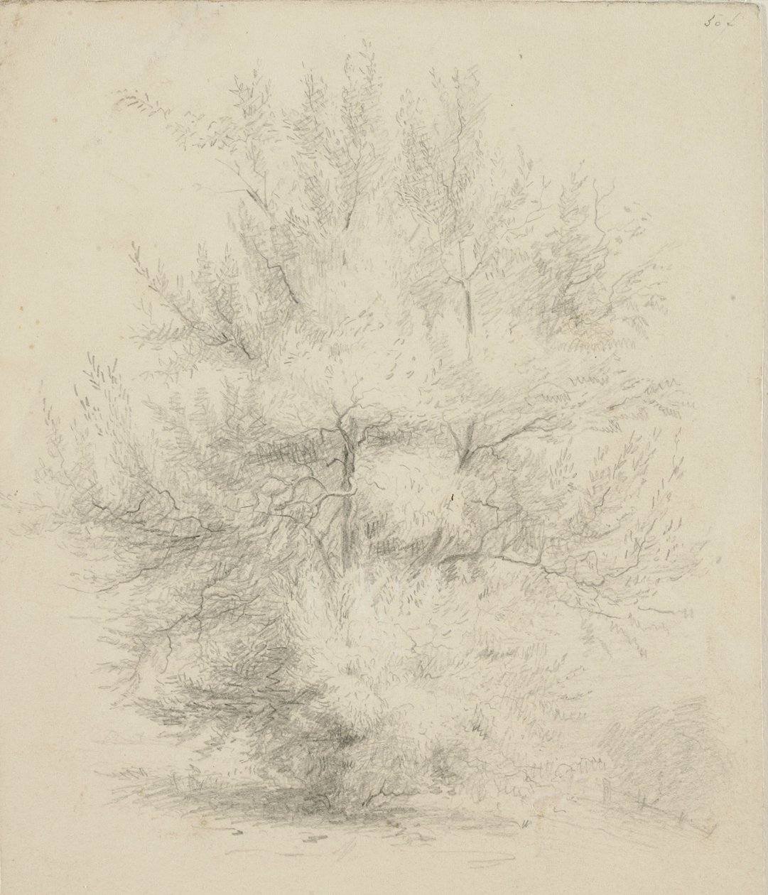 Kresba stromu od Samuel Finley Breese Morse