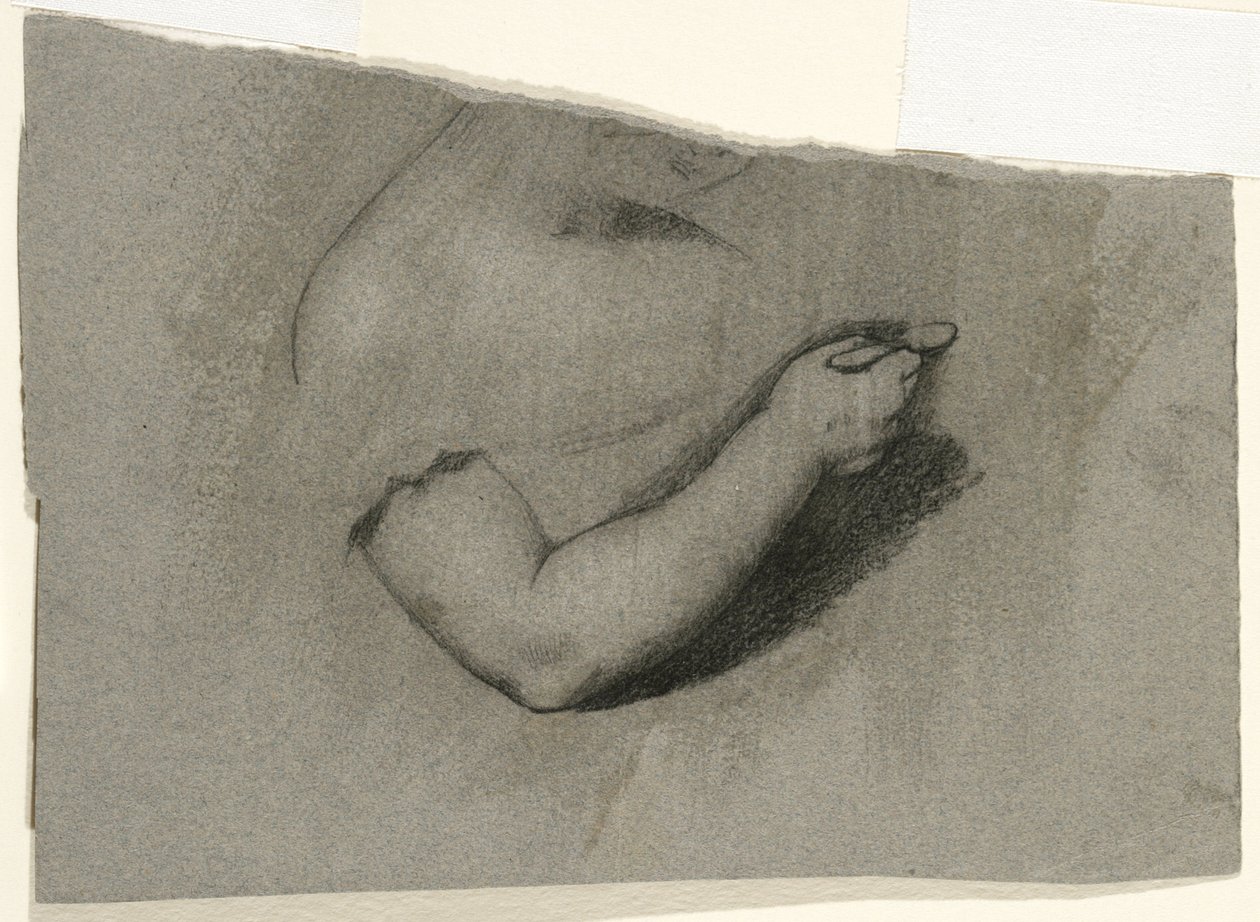 Studie k portrétu Mary Honeové, 1824 (uhl a bílá křída na šedohnědém tkaném papíře) od Samuel Finley Breese Morse