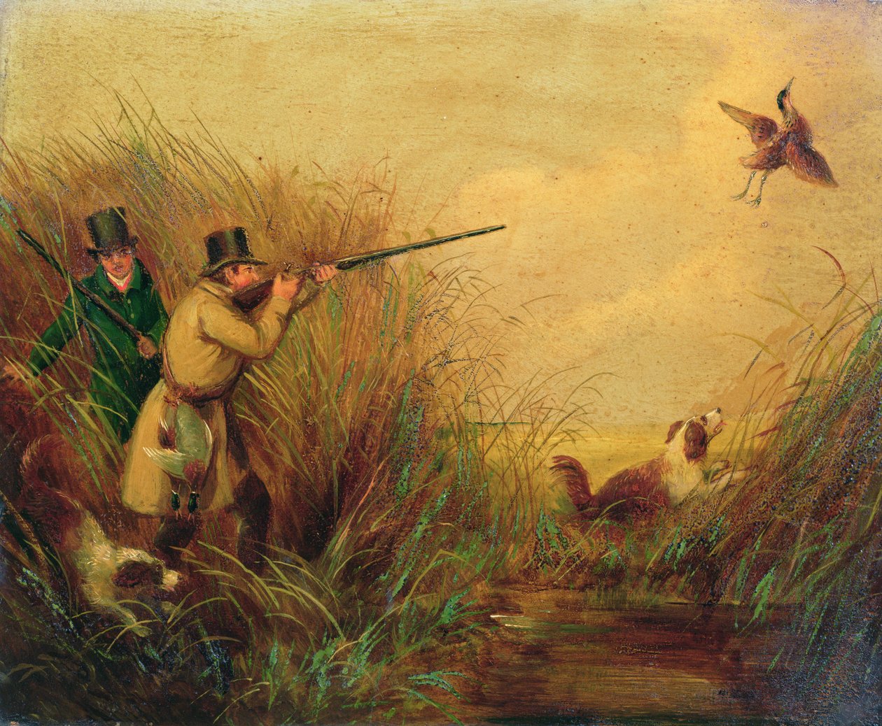Kachna Střelba mezi rákosím od Samuel John Egbert Jones