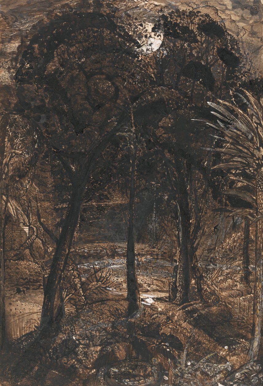 Měsíčně osvětlená scéna s klikatící se řekou od Samuel Palmer