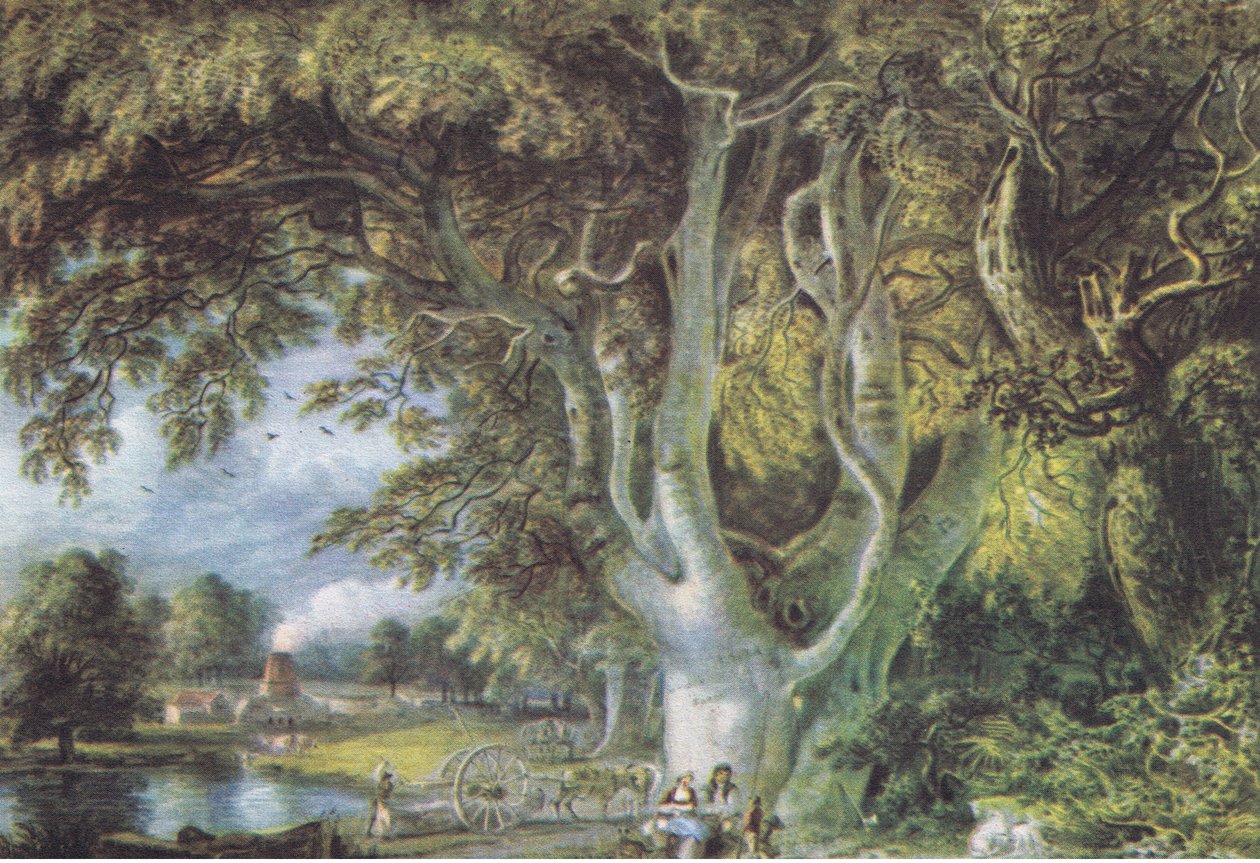 Oak Trees, Shoreham, Kent, Nature in Britain vydal Collins, 1946 od Samuel Palmer