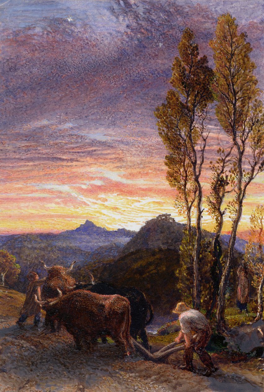 Orba volů při západu slunce od Samuel Palmer