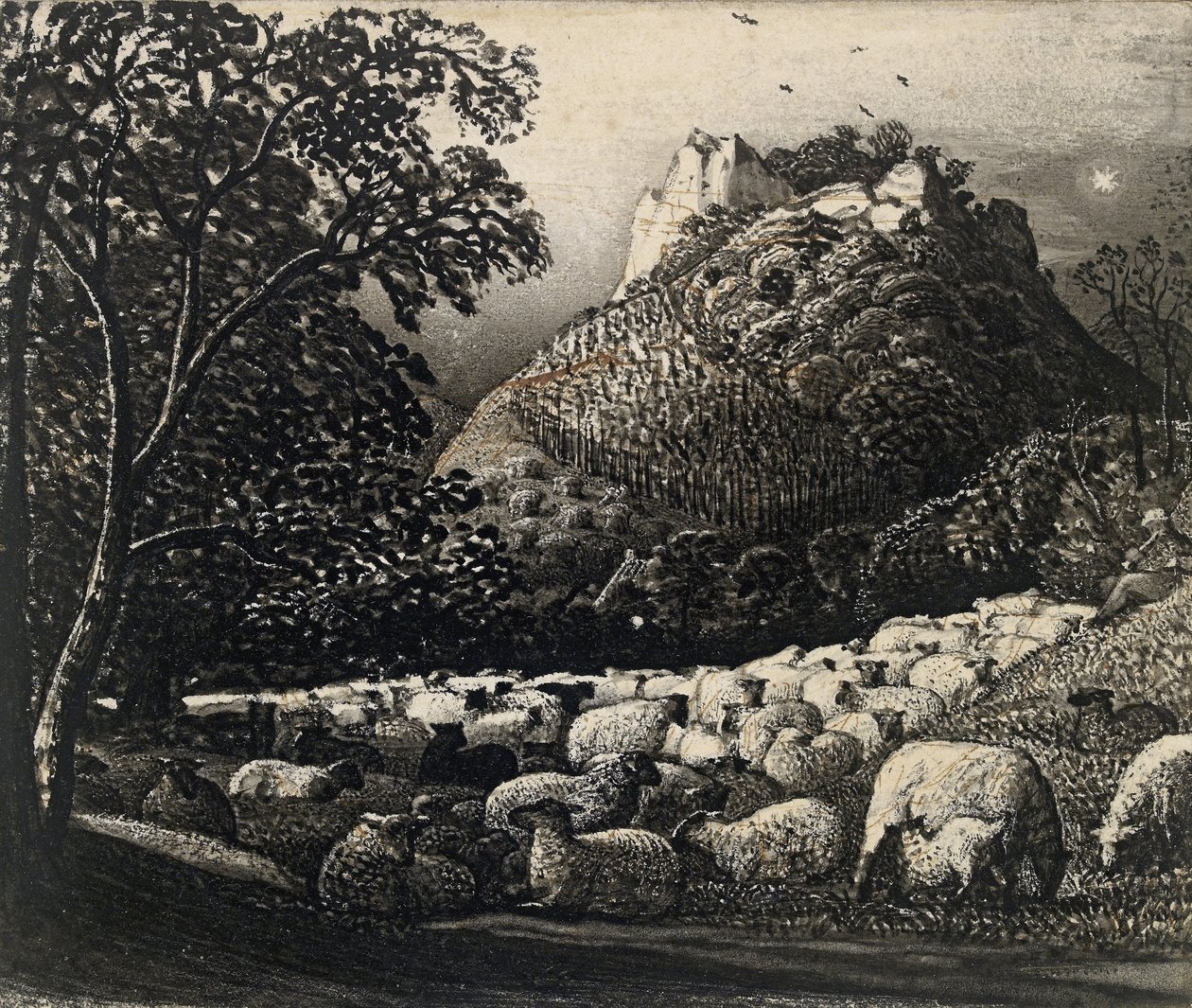 Hejno a hvězda (pero a štětec inkoustem přes tužku a inkoust) od Samuel Palmer