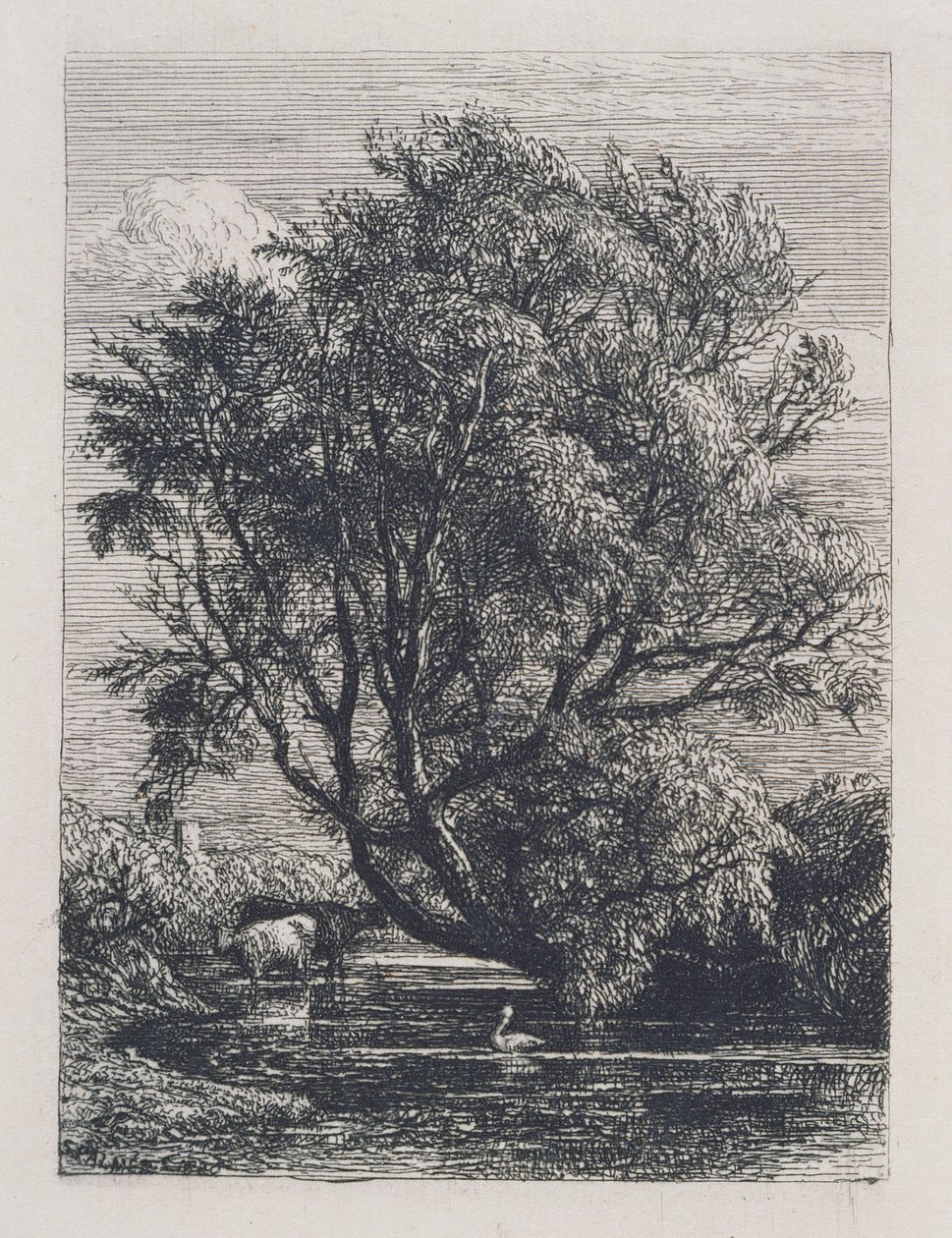 Vrba od Samuel Palmer