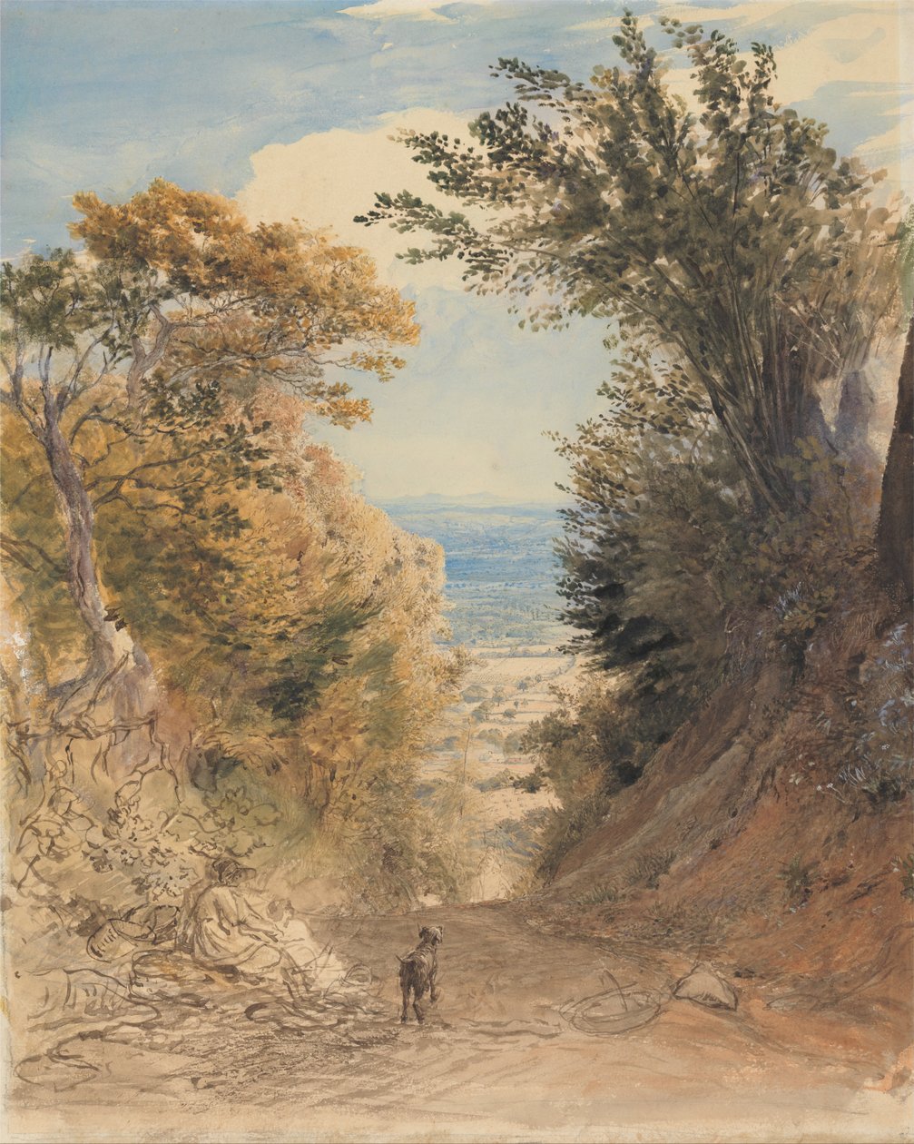 Pohled z Rooks Hill, Kent od Samuel Palmer