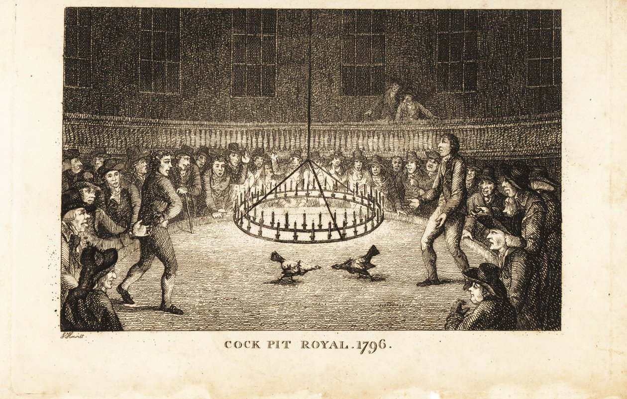 Gambleři sledující kohoutí zápas při svíčkách v Cock Pit Royal, St od Samuel (after) Howitt