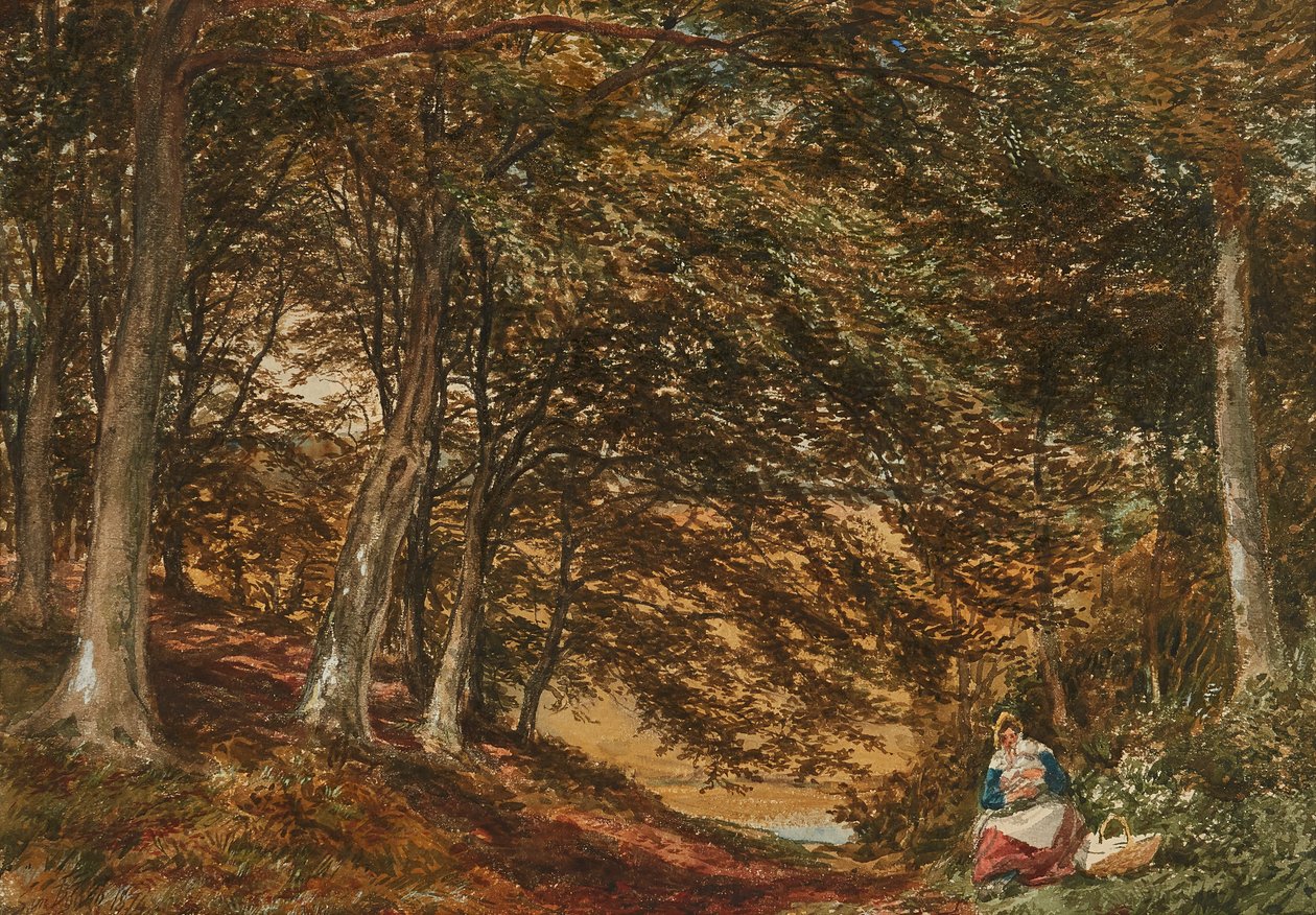 Piknik v lese (akvarel) od Samuel Bough