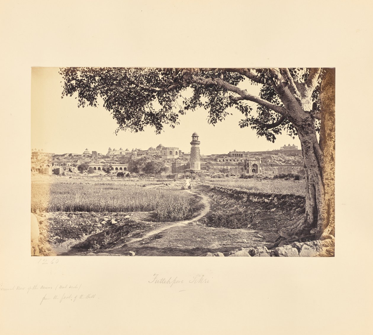 Fatehpur Sikri; celkový pohled na zříceniny (západní strana), od úpatí kopce od Samuel Bourne