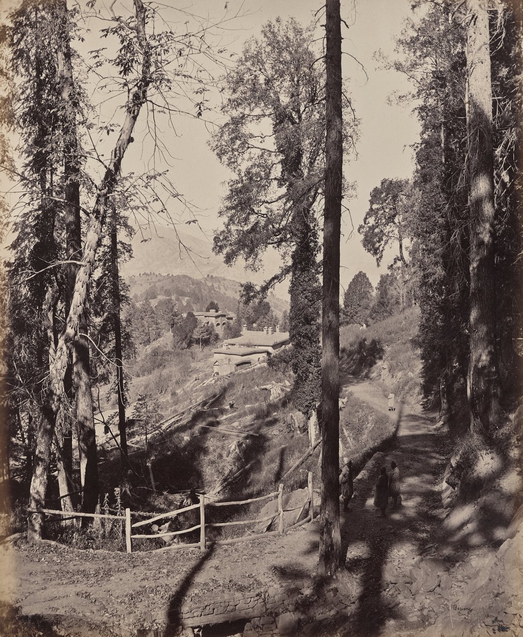 Murree. Horské středisko v Himálaji, pohled lesem od Samuel Bourne