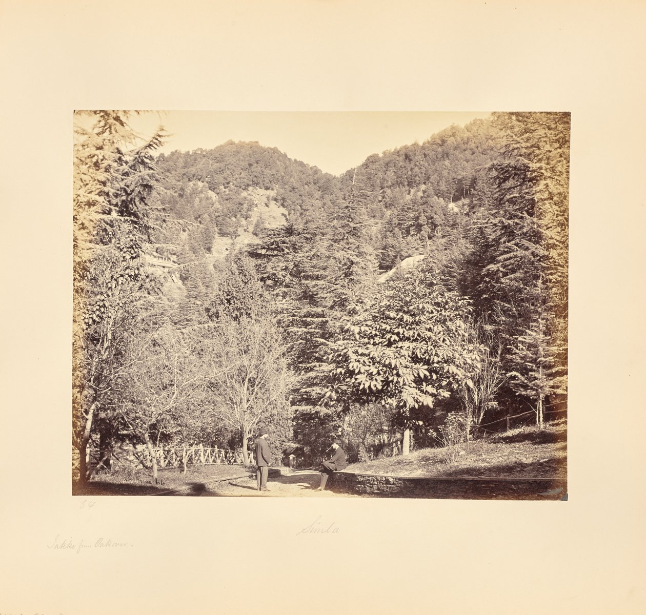 Simla; Jakko, z "Oakover" (Celkový pohled z Tonga Road) od Samuel Bourne