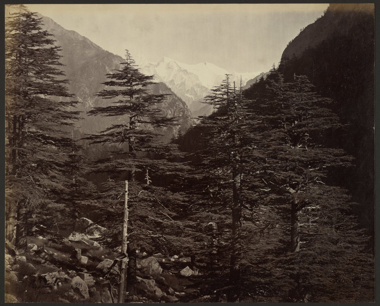 Zasněžené vrcholy poblíž Gangotri, z Bhairamghati od Samuel Bourne