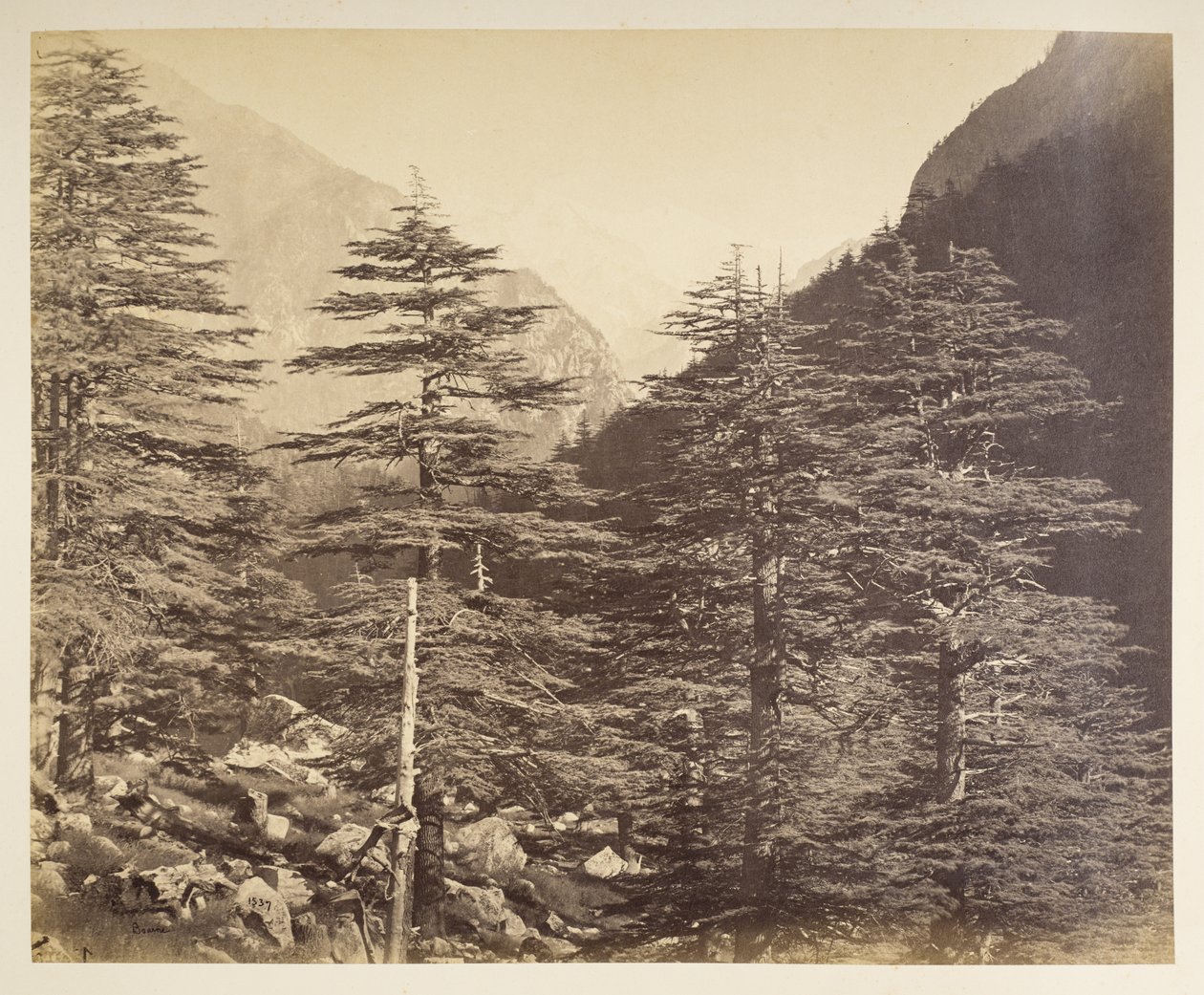 Zasněžené vrcholky poblíž Gangootri z Bhairamghati. Fotograf: Bourne, Samuel Album fotografií Indie, především od Samuela Bourne1866 od Samuel Bourne