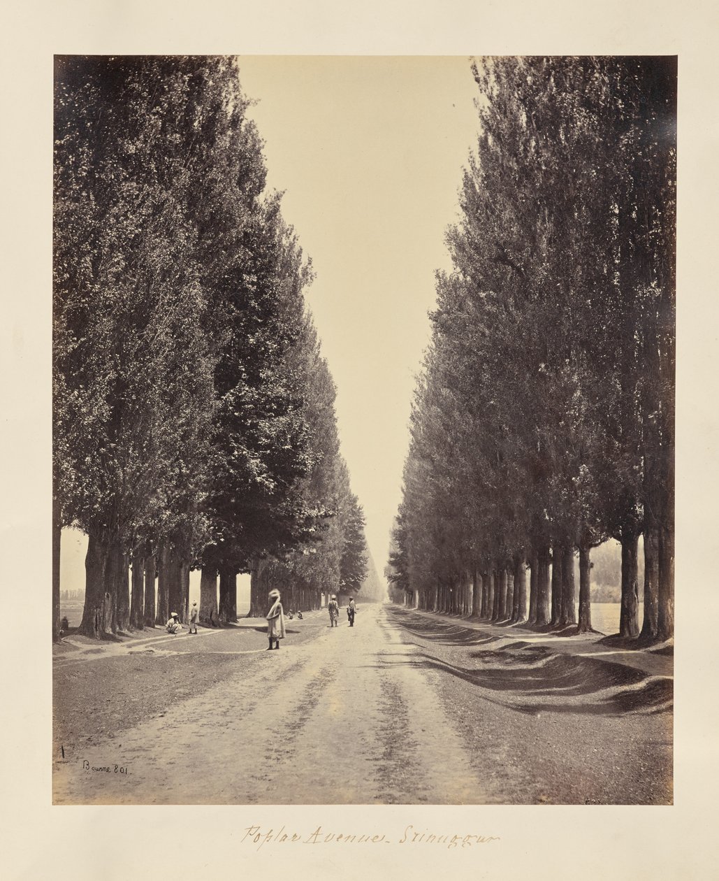 Srinagar; topolová alej od konce od Samuel Bourne