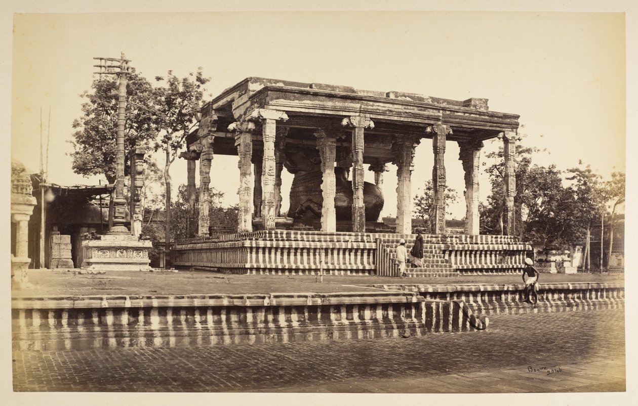 Velký kamenný býk, Tanjore od Samuel Bourne