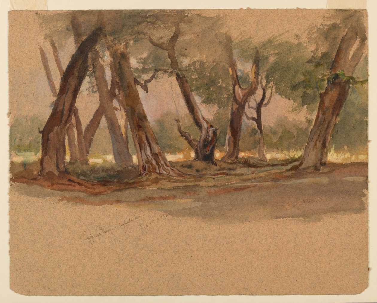 Cypřiše, Chapultepec, Mexiko od Samuel Colman