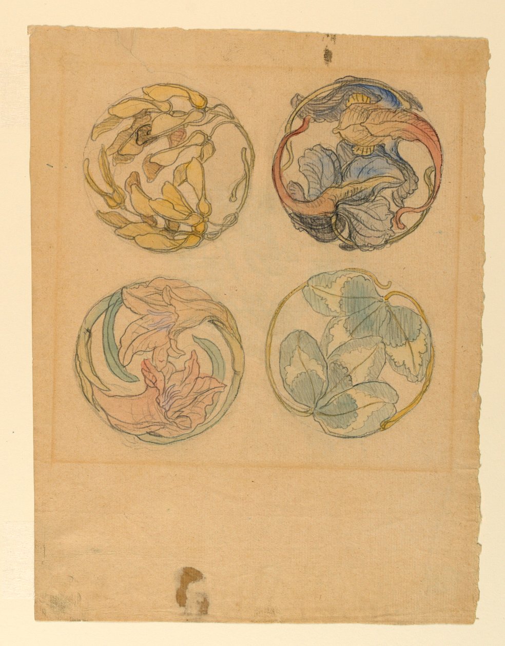Kresba, Květinové studie (čtyři návrhy kruhových ornamentů), 1880-90 od Samuel Colman