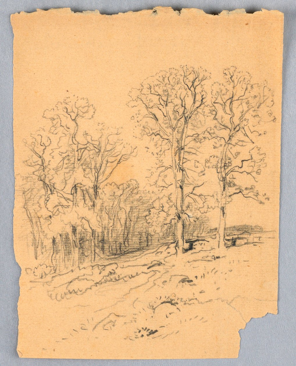 Kresba, Krajinná skica s kopcovitou venkovskou cestou, asi 1881 od Samuel Colman