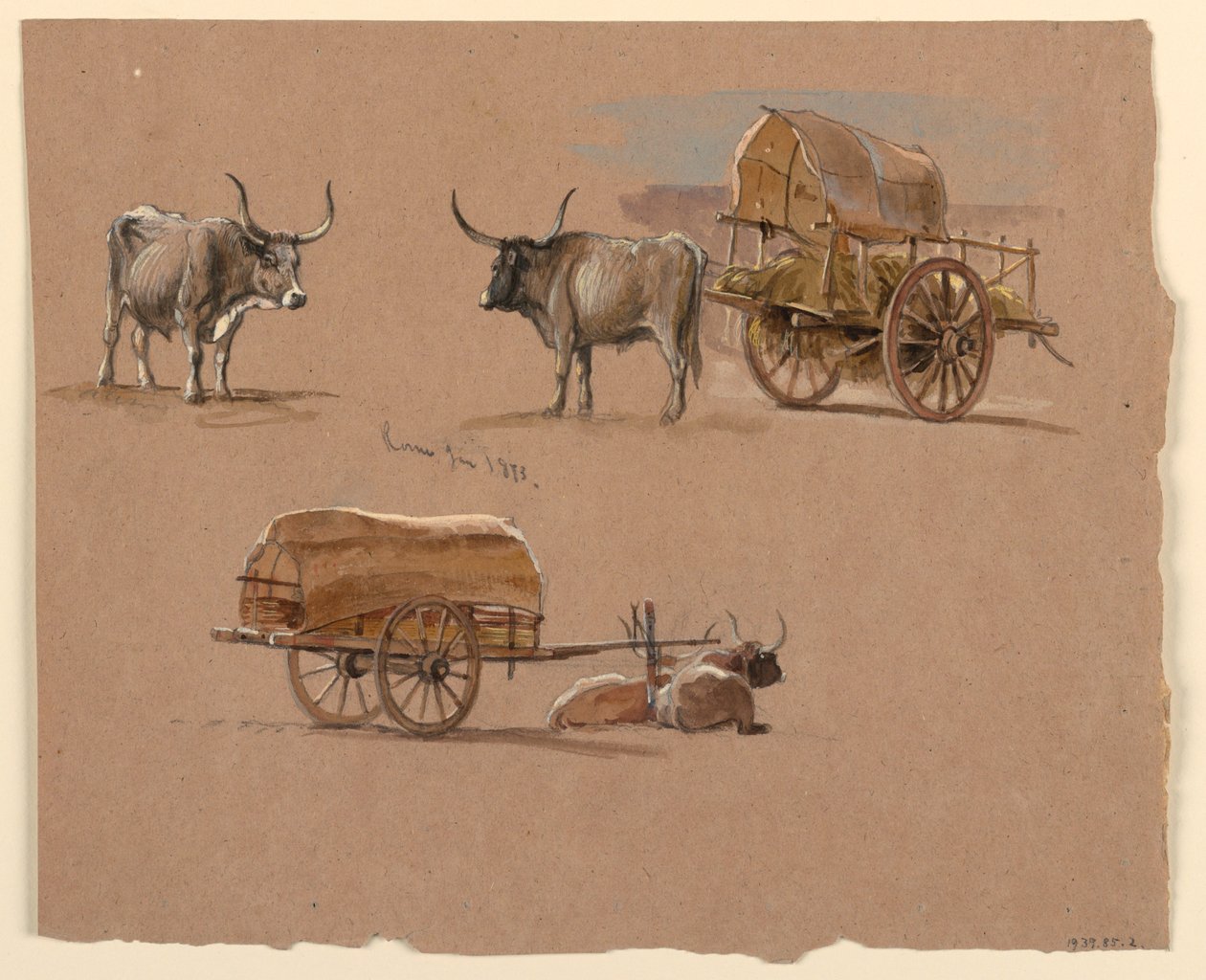 Kresba, volské potahy, Řím, Itálie, leden 1873 od Samuel Colman