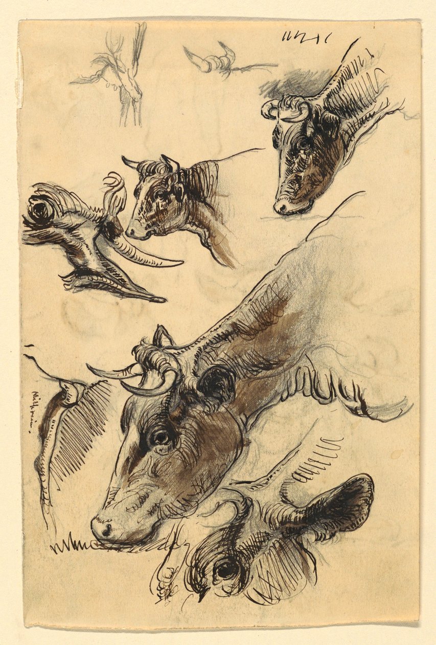 Kreslení, náčrty. Dobytek, Irvington, září 1876 od Samuel Colman