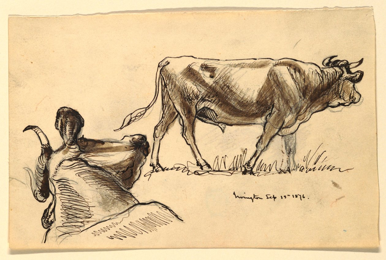 Kreslení, náčrty. Dobytek, Irvington, září 1876 od Samuel Colman