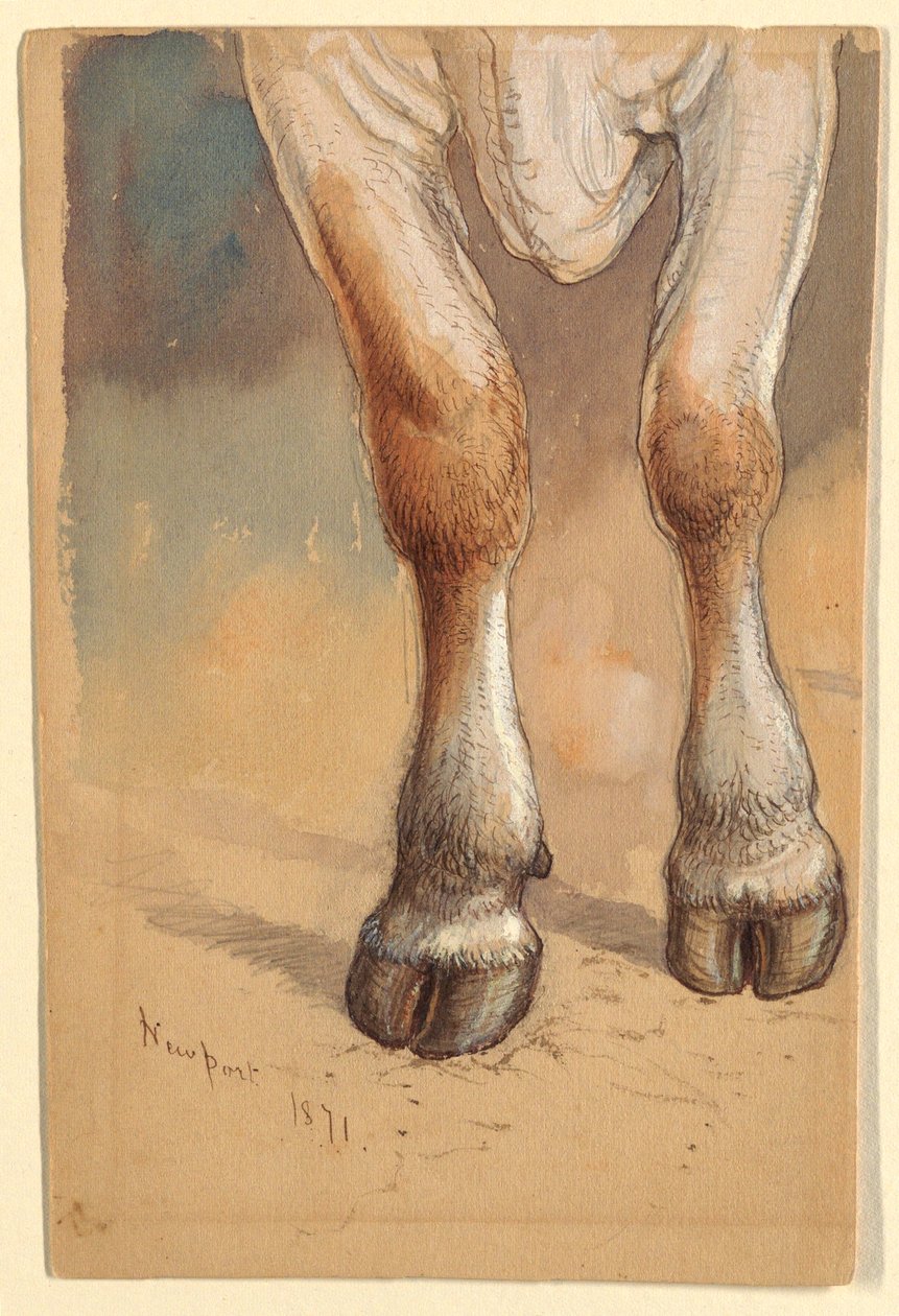 Kresba, Studie podle dobytka, 1871 od Samuel Colman
