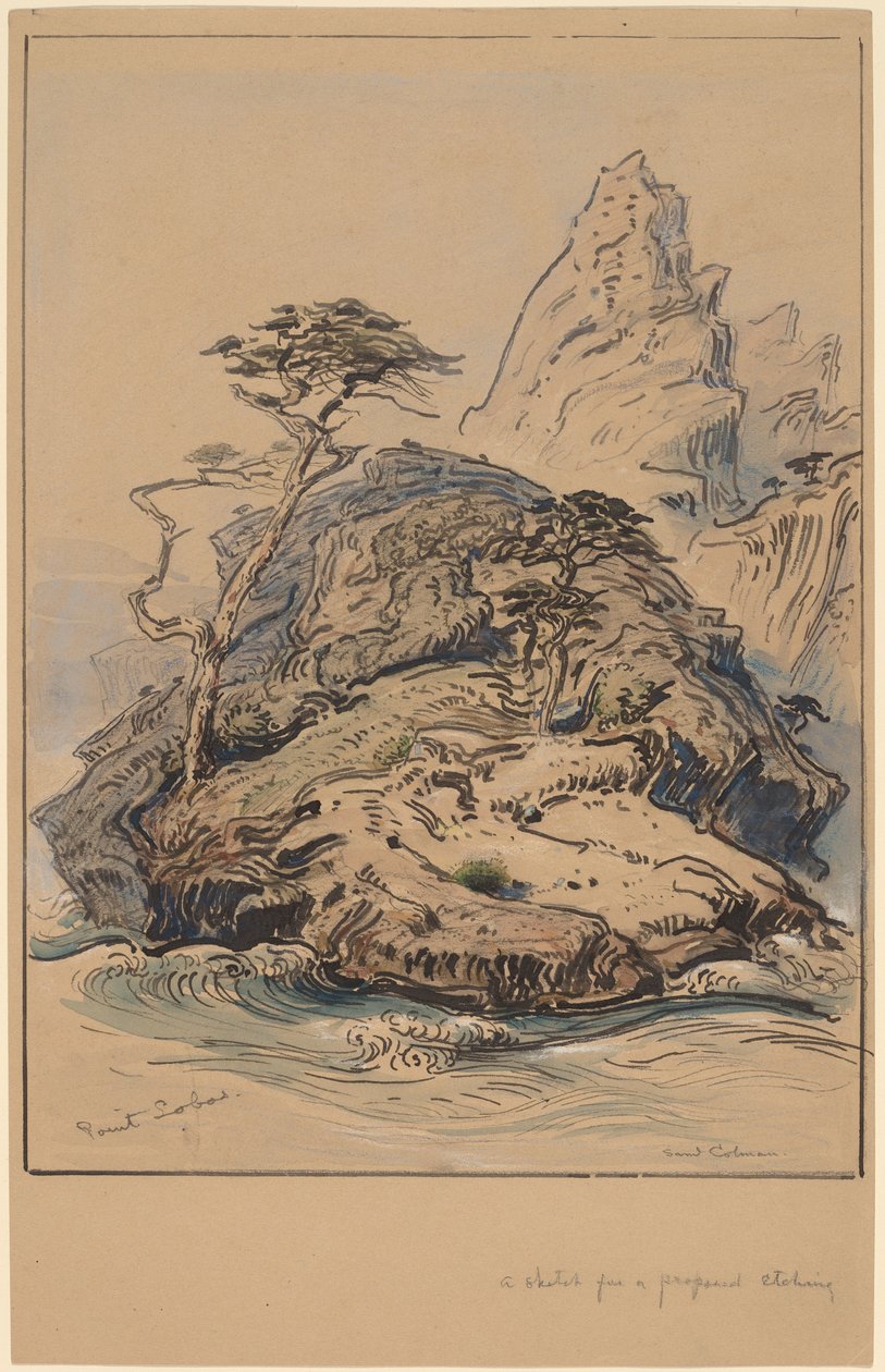 Point Lobos, Kalifornie od Samuel Colman