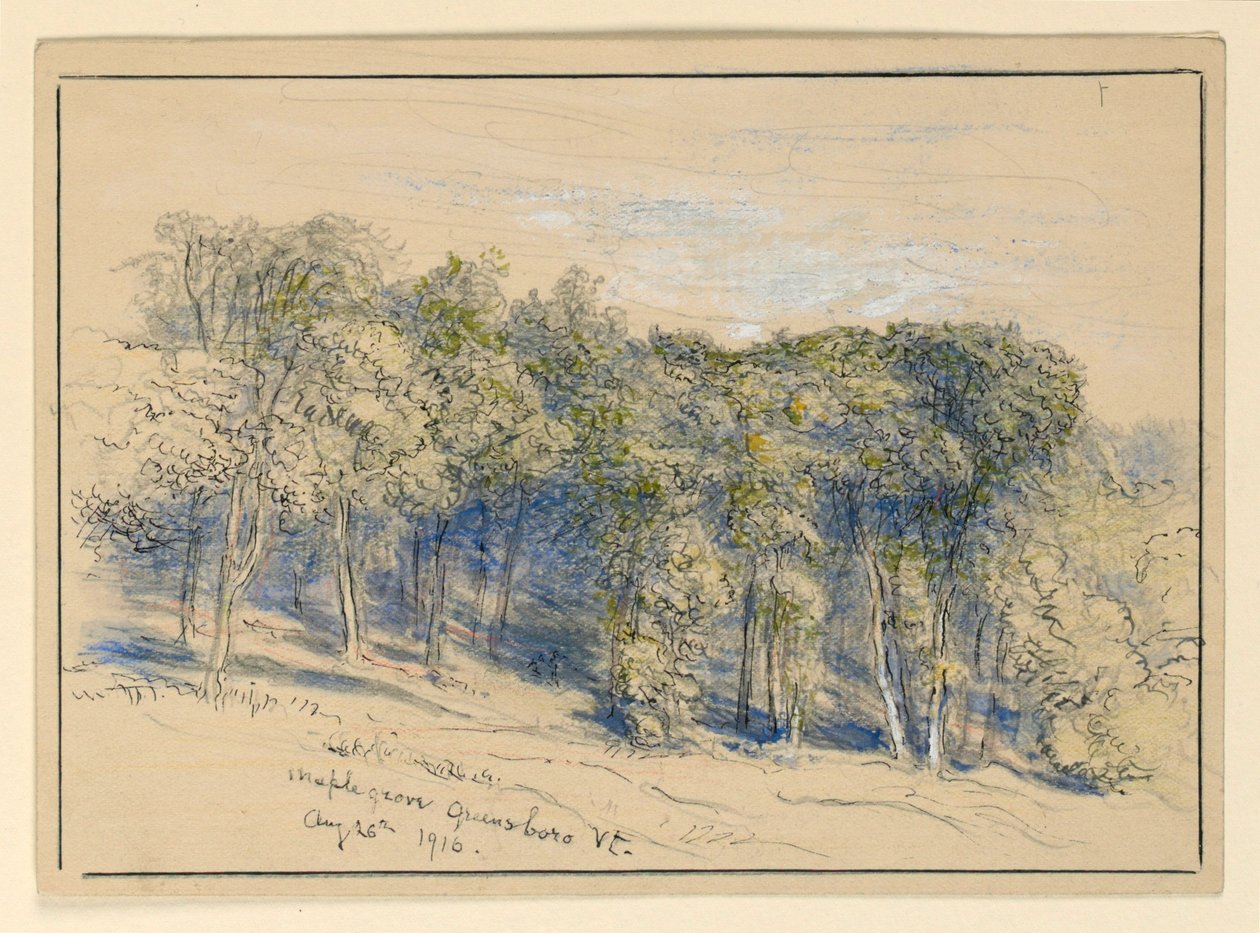 Studie Maple Grove, Greensboro, Vermont od Samuel Colman