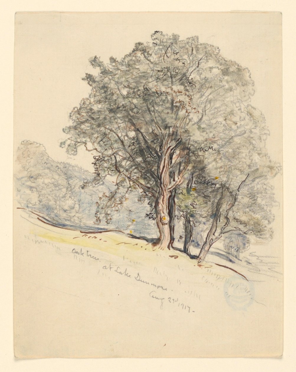 Studie dubů u jezera Dunmore, Vermont od Samuel Colman