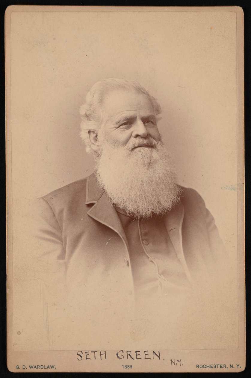 Portrét Setha Greena 1817-1888, 1886. od Samuel D Wardlaw