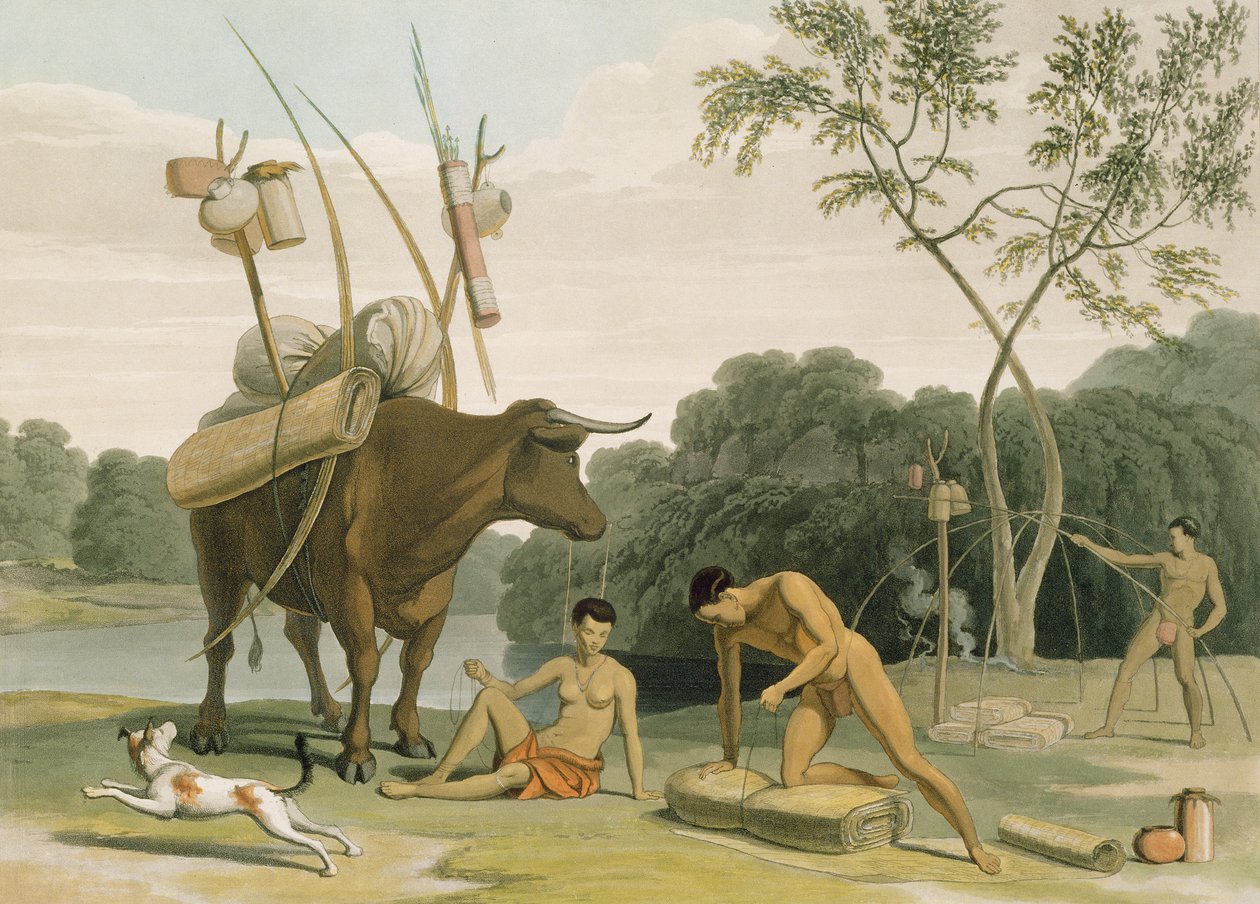 Korah Hottentots Preparing to Remove, deska 20 z „African Scenery and Animals“, vyryto umělcem, 1805 (akvatinta) od Samuel Daniell