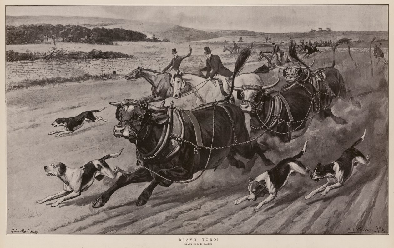 Bravo Toro! (litografie) od Samuel Edmund (after) Waller