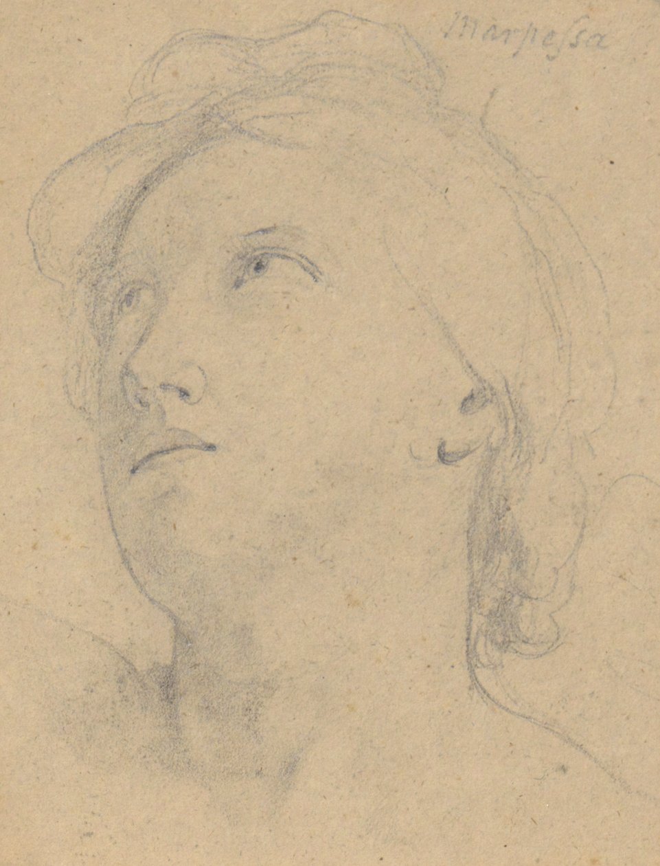 Studie k Soudu Jupitera (Marpessa, hlava) od Samuel Finley Breese Morse