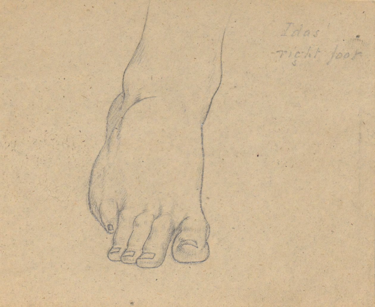 Studie k soudu Jupiter (Idas, pravá noha) od Samuel Finley Breese Morse