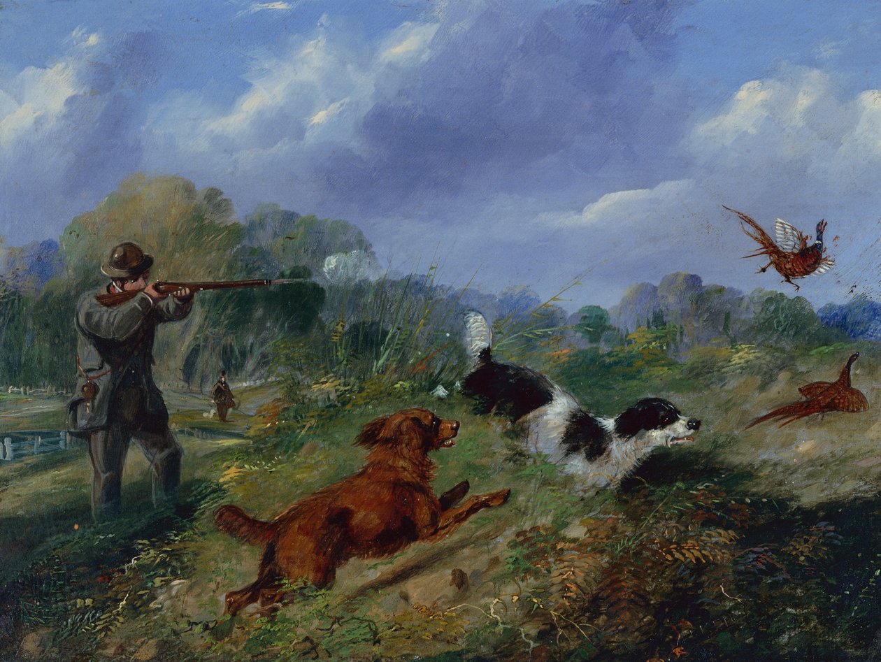 Střelba na bažanty (olej) od Samuel Henry Alken