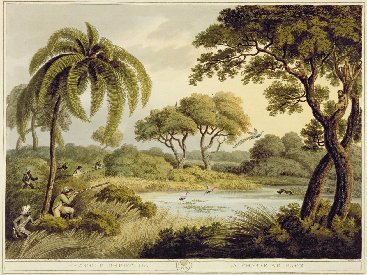 Peacock Shooting, od Oriental Field Sports, hospoda. Edward Orme, 1807 (tisk) od Samuel Howett