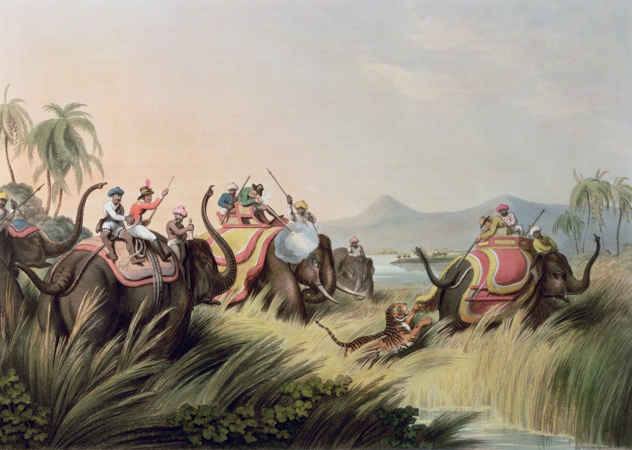 The Tiger At Bay, od Oriental Field Sports, hospoda. Edward Orme, 1807 (tisk) od Samuel Howett