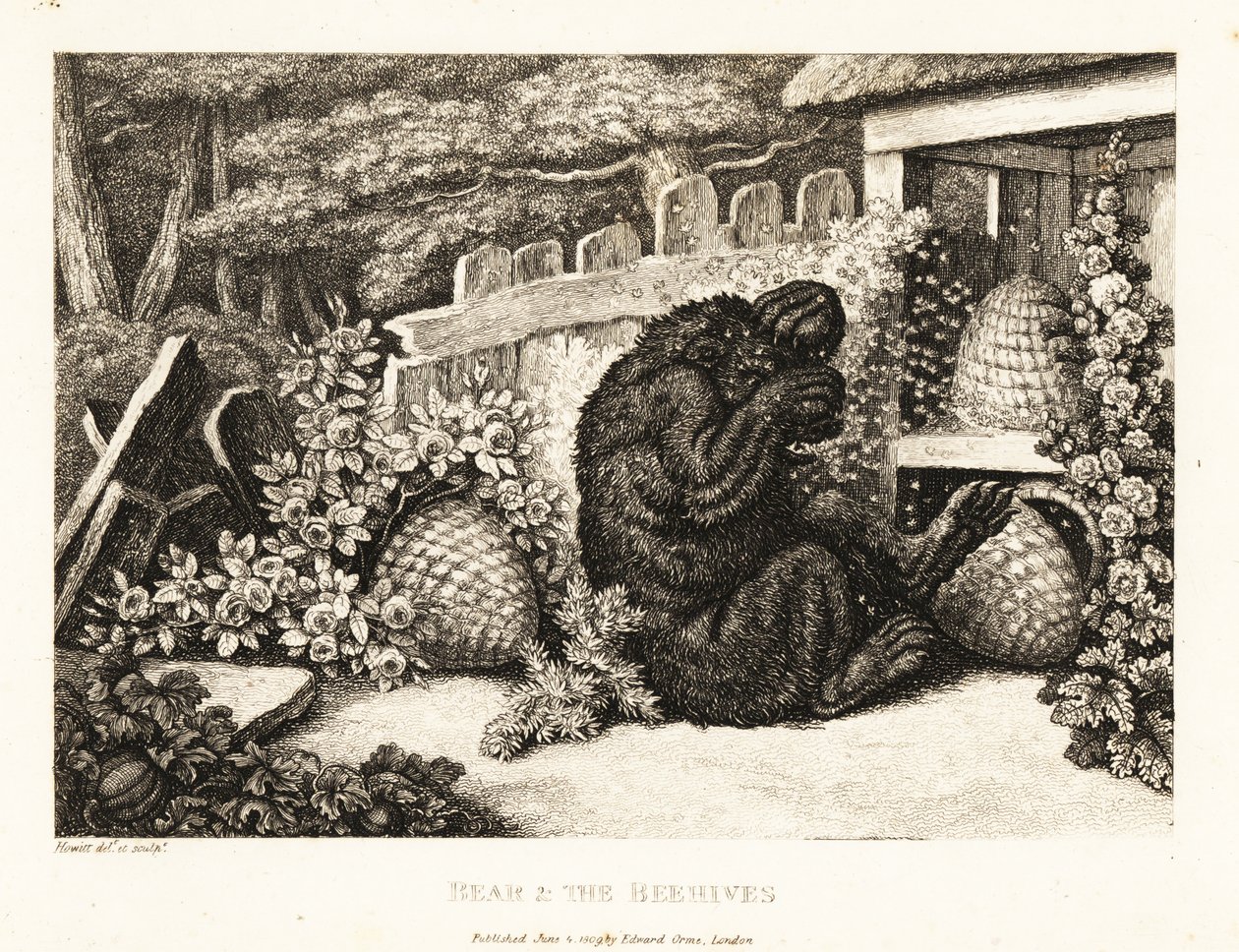 Medvěd hnědý napadený armádou včel. 1811 (lept) od Samuel Howitt