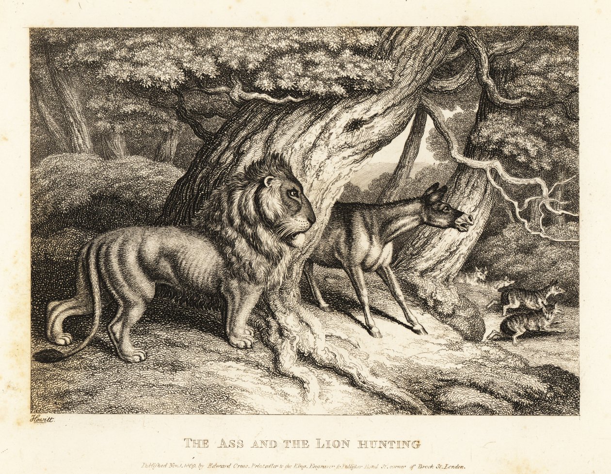 Osel při lovu se lvem hlasitě hýká na kořist. 1811 (lept) od Samuel Howitt