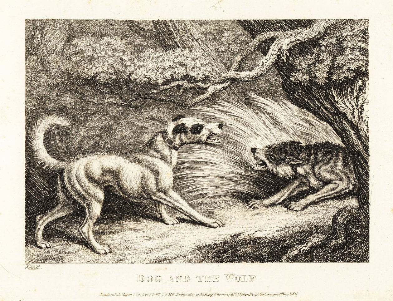 Bytový pes v obojku nabízí jídlo hladovějícímu vlkovi. 1811 (lept) od Samuel Howitt