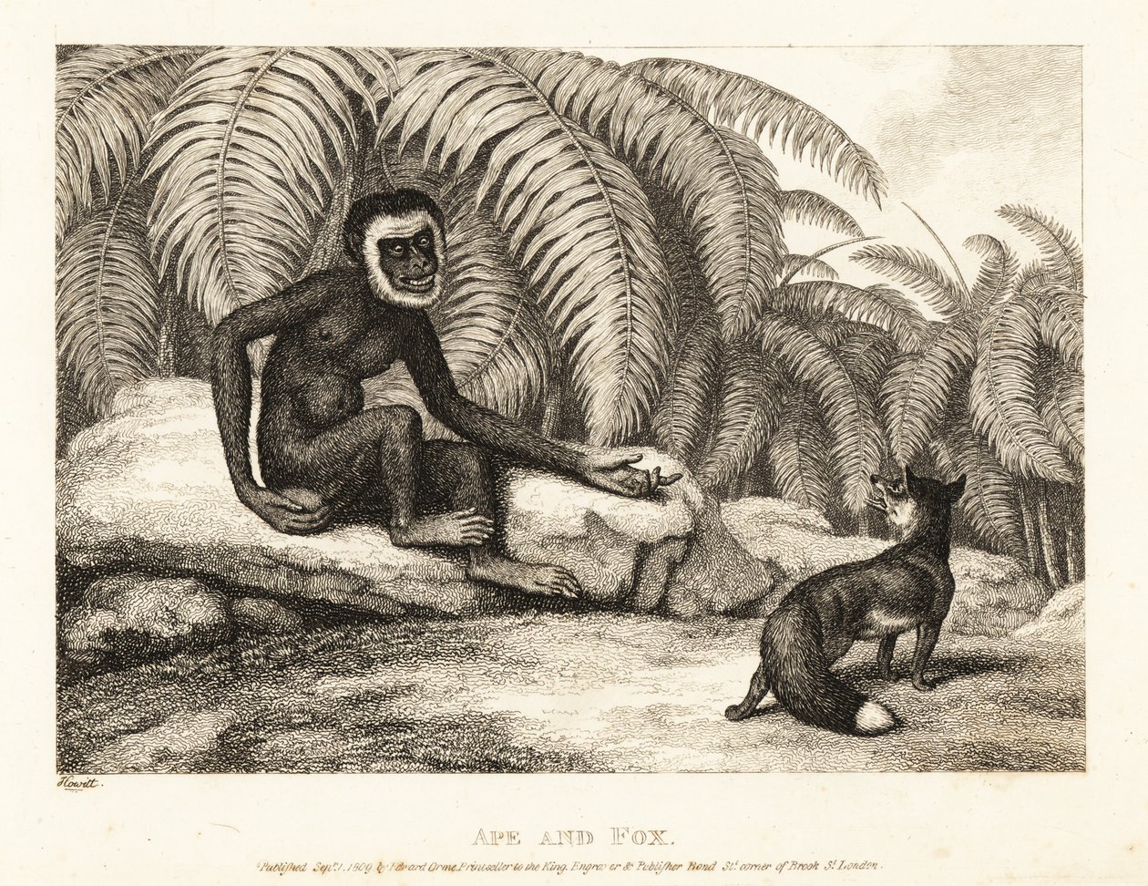 Bezocasá opice žádá lišku o trochu svého ocasu. Opice a liška. 1811 (lept) od Samuel Howitt
