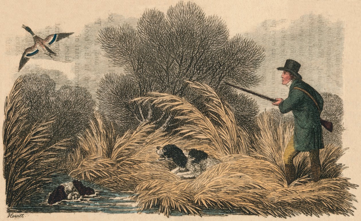 Kachní střelba, 1810. od Samuel Howitt