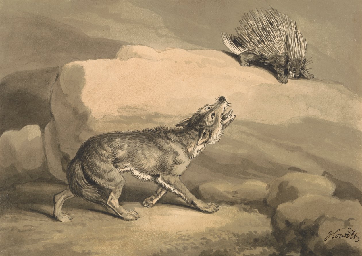 Fox and the Hedgehog (dikobraz) od Samuel Howitt
