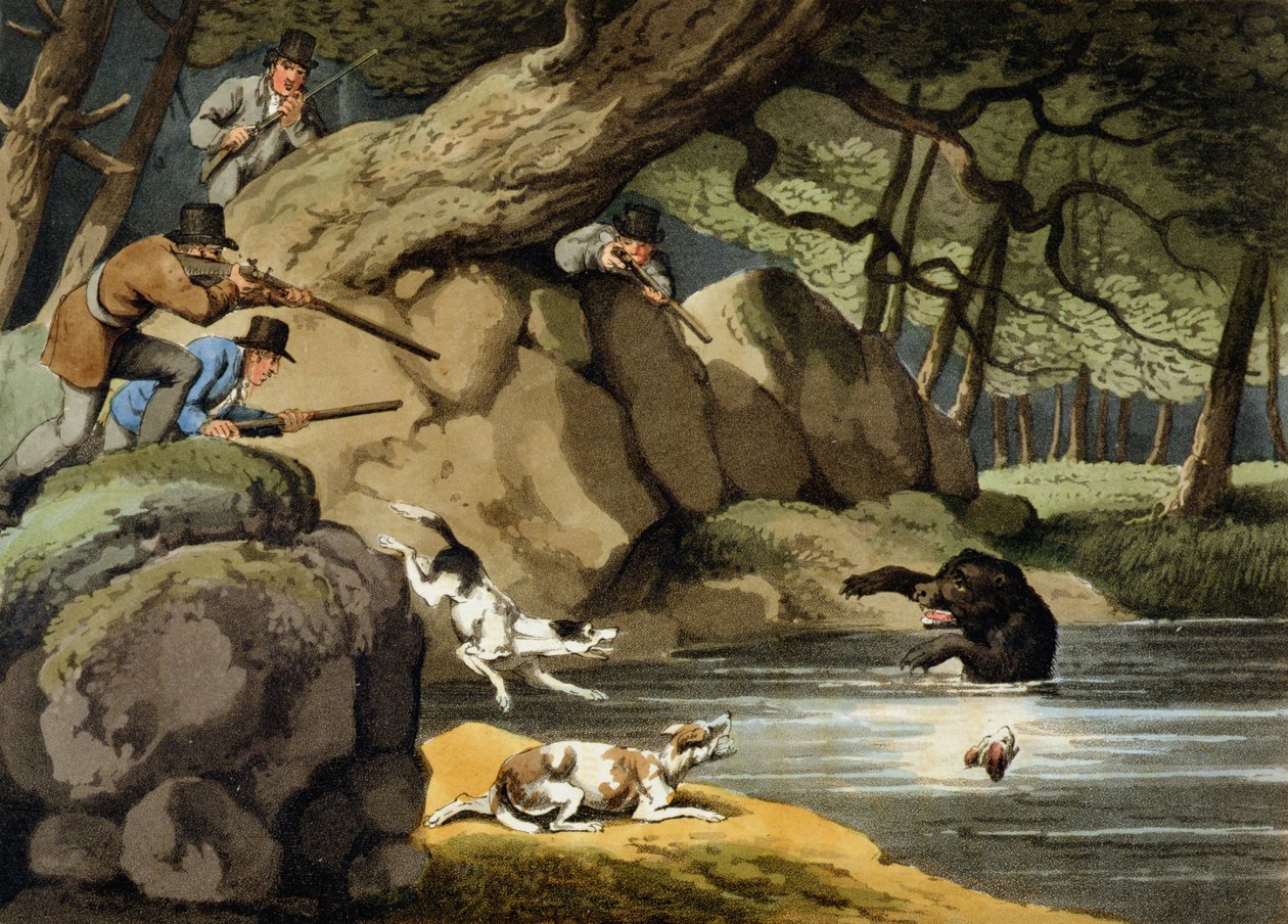 North America Bear Hunt, vyryl Matthew Dubourg, vydal Edward Orme, 1813 od Samuel Howitt