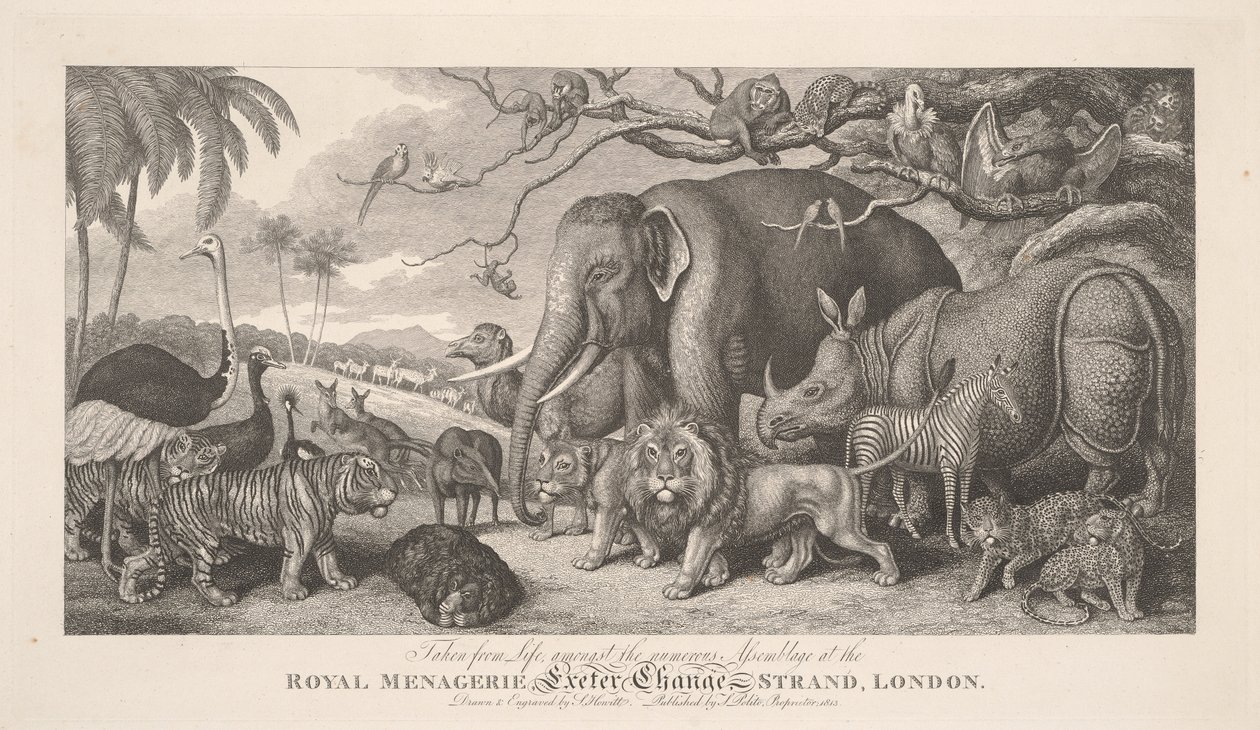 Kresleno podle života, mezi početným shromážděním v Královské menagerii, Exeter Exchange, Strand, Londýn od Samuel Howitt