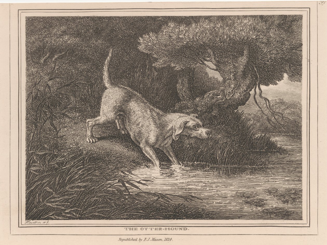 Vydří honič od Samuel Howitt