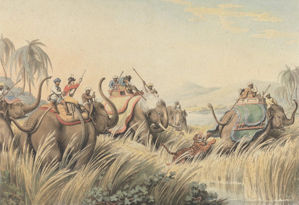 Tygr v úzkých: ilustrace pro „Oriental Field Sports“ kapitána Thomase Williamsona od Samuel Howitt
