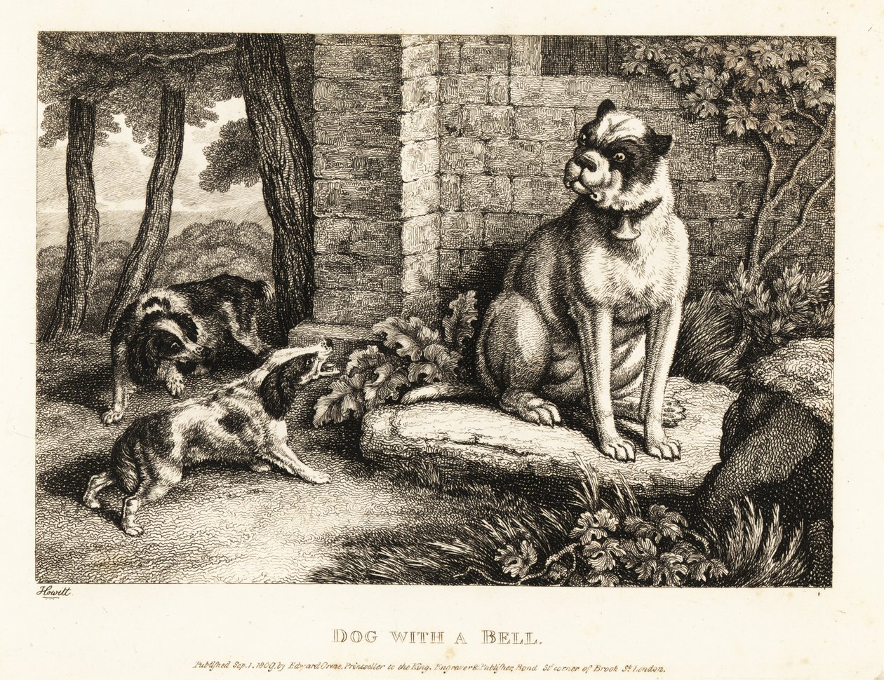 Dva španělé štěkají na buldoka se zvonkem na obojku. 1811 (lept) od Samuel Howitt